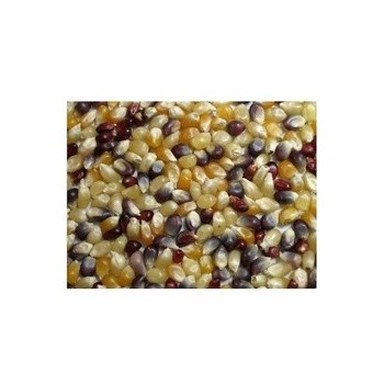 Grains Multi Colored PopCorn (1x25LB )