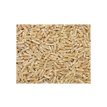 Grains Kamut Berries (1x25LB )