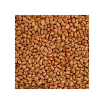 Nuts Salted Roasted Soynuts (1x30LB )