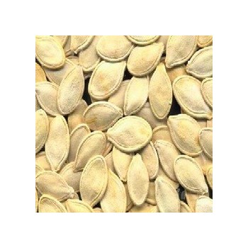 Seeds Pumpkin Seed,Chinese (1x27.5LB )