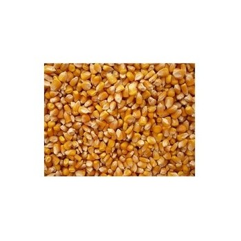 Grains Popcorn Yellow (1x25LB )