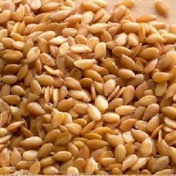 Seeds Golden Flax Seeds (1x25LB )