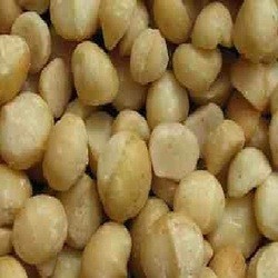 Nuts Macadma Nut Raw Knya (1x25LB )