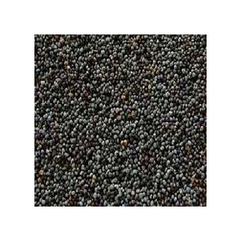 Seeds Poppy Seeds (1x5LB )