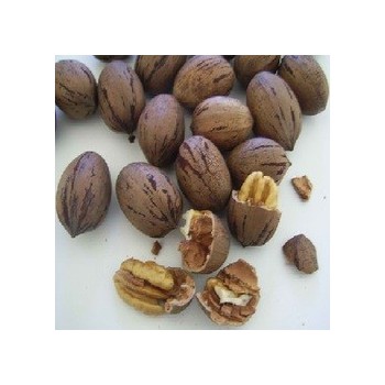 Nuts Shelled Pecans Usa (1x5LB )